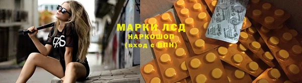 крисы Абинск