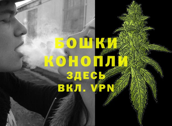крисы Пересвет