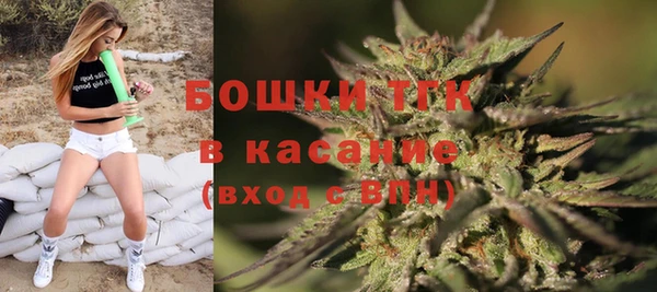 крисы Пересвет