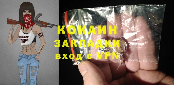 крисы Пересвет