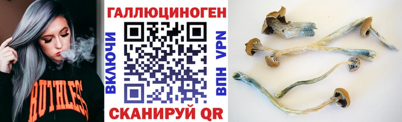 Галлюциногенные грибы мицелий  магазин    Невельск 